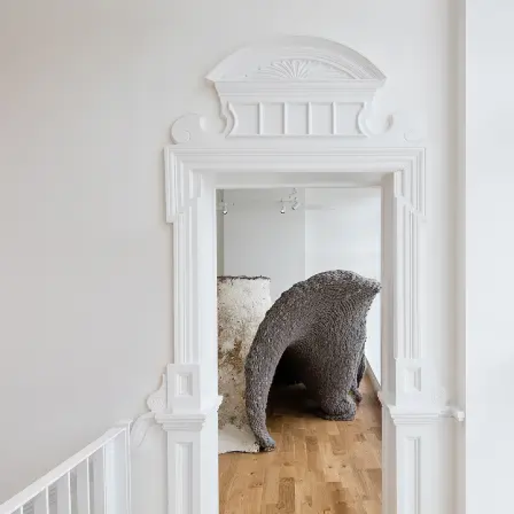 An unusual art feature peaking through a gap in the door