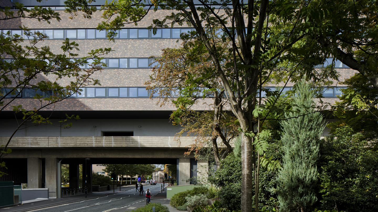 The Henry Daysh building surrounded by green foliage