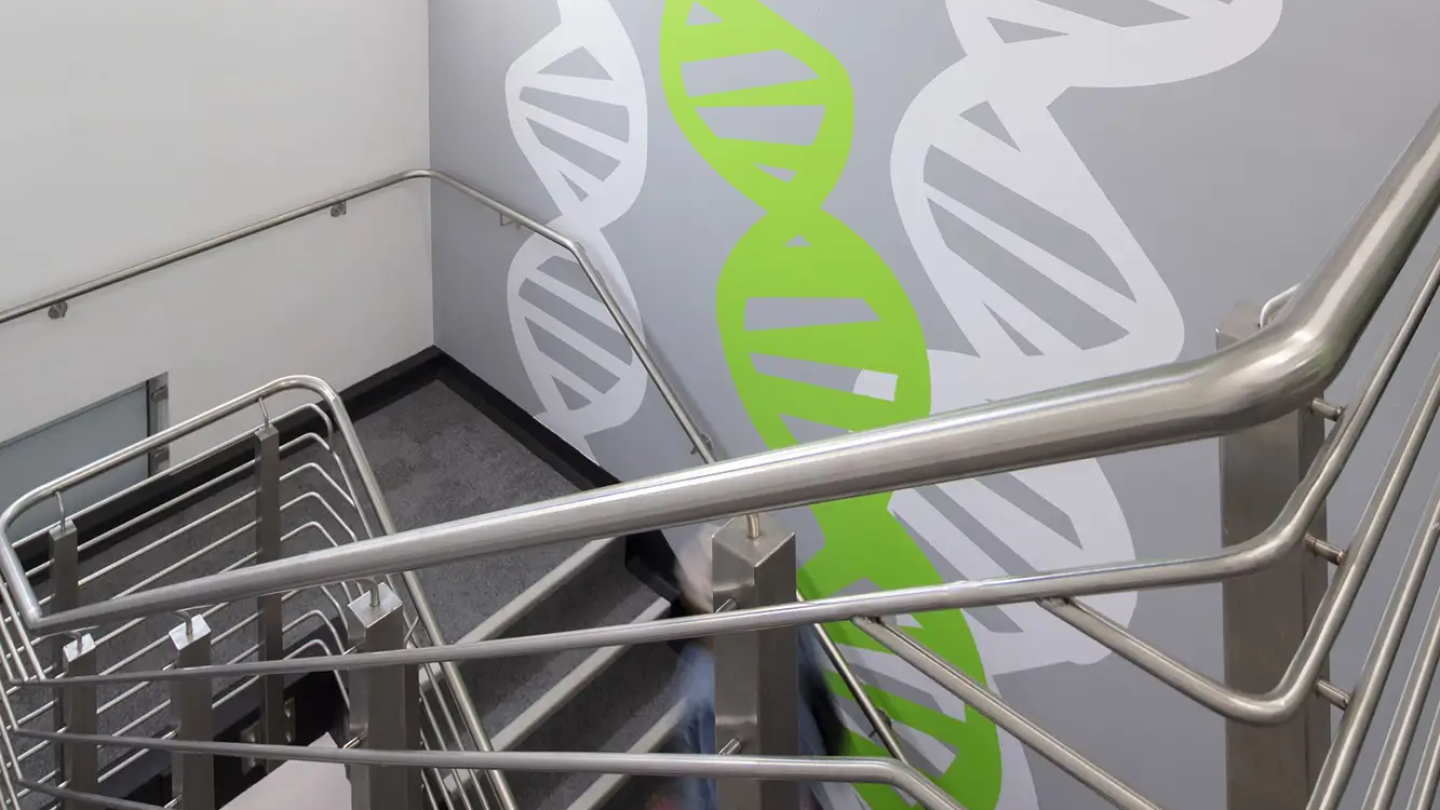 Stairs leading down, there are large DNA strands printed on the wall
