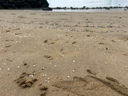 On 19 July 2026, a collision at the Port of Tyne damaged shipping containers carrying nurdles, the small plastic pellets used to manufacture almost all plastic products.