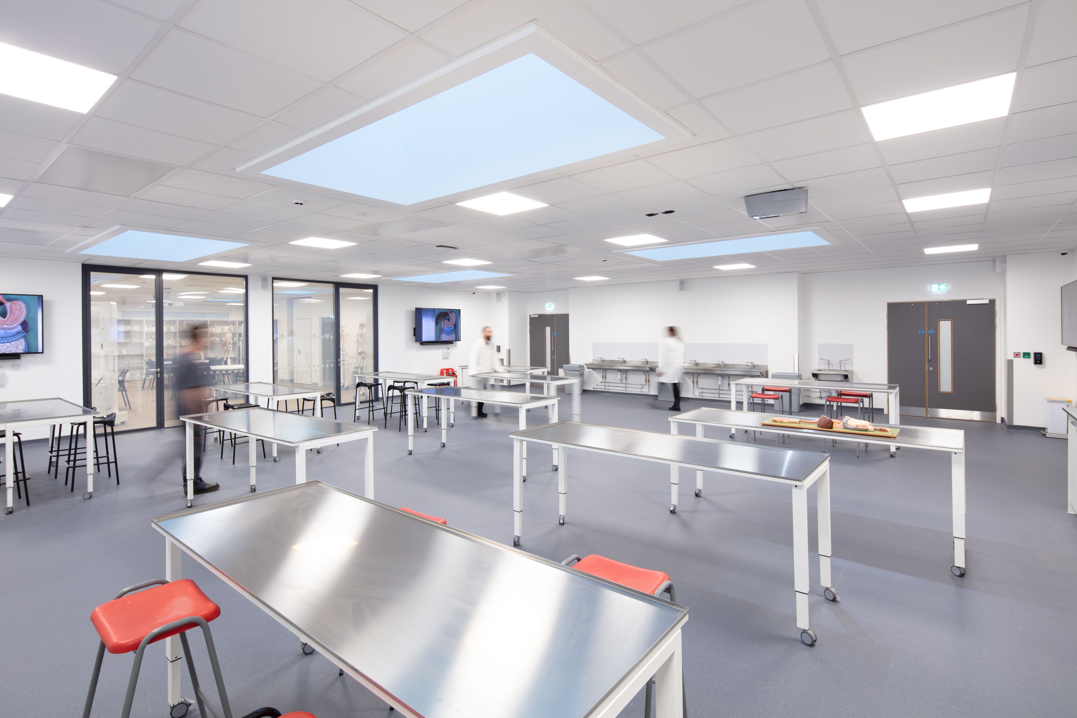 Students and faculty at work within the laboratory space at Cadaveric Anatomy Academy